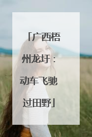 广西梧州龙圩：动车飞驰过田野