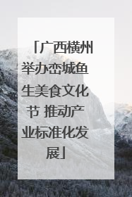 广西横州举办峦城鱼生美食文化节 推动产业标准化发展