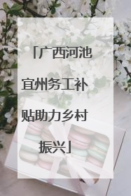 广西河池宜州务工补贴助力乡村振兴