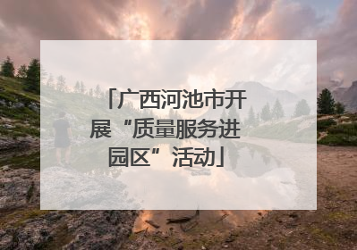广西河池市开展“质量服务进园区”活动