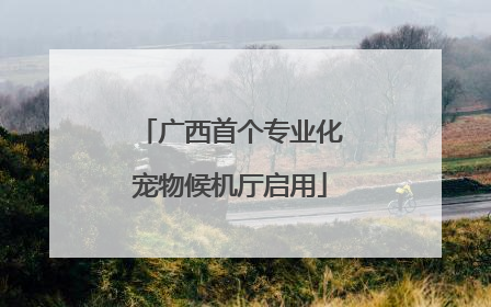 广西首个专业化宠物候机厅启用