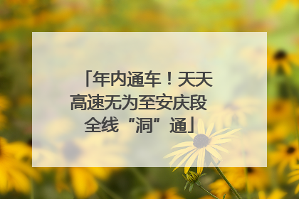 年内通车！天天高速无为至安庆段全线“洞”通