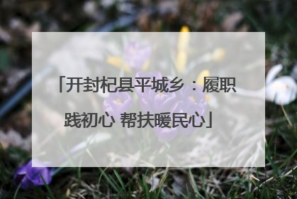 开封杞县平城乡：履职践初心 帮扶暖民心