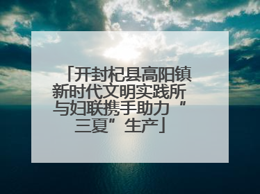 开封杞县高阳镇新时代文明实践所与妇联携手助力“三夏”生产