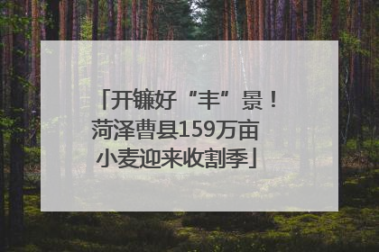 开镰好“丰”景！菏泽曹县159万亩小麦迎来收割季