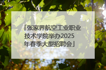 张家界航空工业职业技术学院举办2025年春季大型招聘会