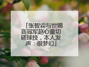 张智霖与世锦赛冠军赵心童切磋球技，本人发声：很梦幻