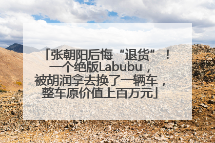 张朝阳后悔“退货”！一个绝版Labubu，被胡润拿去换了一辆车，整车原价值上百万元