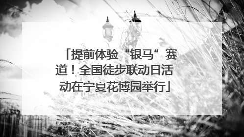 提前体验“银马”赛道！全国徒步联动日活动在宁夏花博园举行