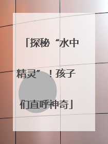 探秘“水中精灵”！孩子们直呼神奇