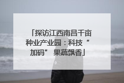 探访江西南昌千亩种业产业园：科技“加码” 果蔬飘香