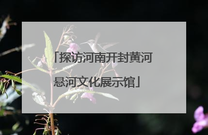 探访河南开封黄河悬河文化展示馆