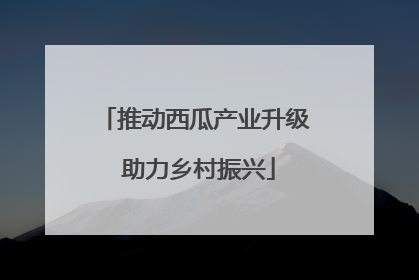 推动西瓜产业升级 助力乡村振兴