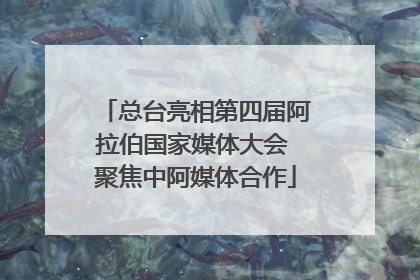 总台亮相第四届阿拉伯国家媒体大会 聚焦中阿媒体合作