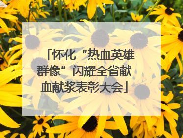 怀化“热血英雄群像”闪耀全省献血献浆表彰大会