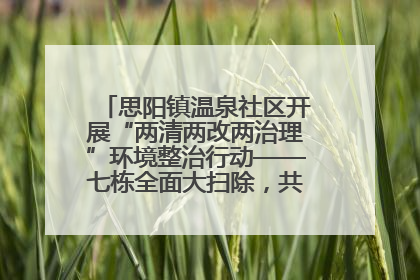 思阳镇温泉社区开展“两清两改两治理”环境整治行动——七栋全面大扫除，共建洁净家园