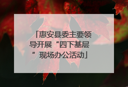 惠安县委主要领导开展“四下基层”现场办公活动