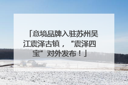 意境品牌入驻苏州吴江震泽古镇，“震泽四宝”对外发布！