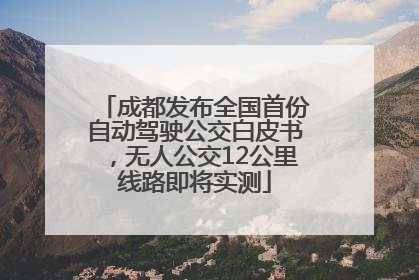 成都发布全国首份自动驾驶公交白皮书，无人公交12公里线路即将实测
