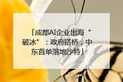 成都AI企业出海“破冰”：政府搭桥，中东首单落地沙特