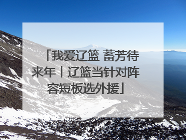 我爱辽篮 蓄芳待来年丨辽篮当针对阵容短板选外援
