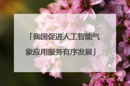 我国促进人工智能气象应用服务有序发展