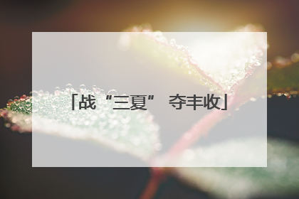 战“三夏” 夺丰收