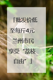 批发价低至每斤4元 兰州市民享受“荔枝自由”