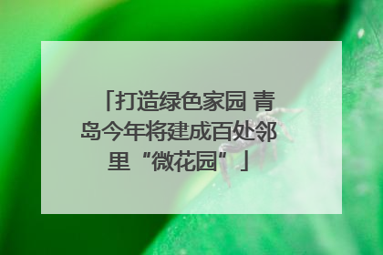 打造绿色家园 青岛今年将建成百处邻里“微花园”