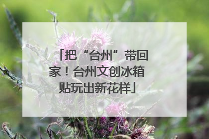 把“台州”带回家！台州文创冰箱贴玩出新花样