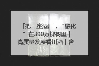 把一座酒厂，“融化”在390万棵树里｜高质量发展看川酒｜舍得酒｜舍得酒业｜舍得老酒｜沱牌酒