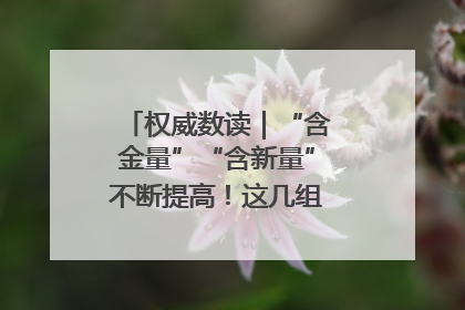 权威数读｜“含金量”“含新量”不断提高！这几组外贸数据要关注