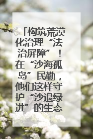 构筑荒漠化治理“法治屏障”！在“沙海孤岛”民勤，他们这样守护“沙退绿进”的生态奇迹
