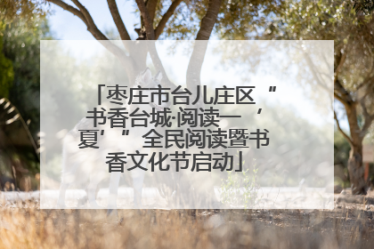 枣庄市台儿庄区“书香台城·阅读一‘夏’”全民阅读暨书香文化节启动
