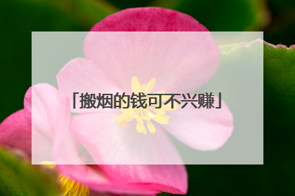 搬烟的钱可不兴赚