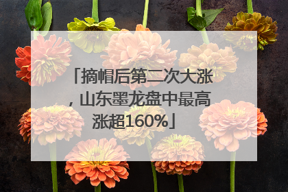 摘帽后第二次大涨，山东墨龙盘中最高涨超160%