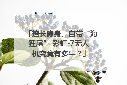 擅长隐身、自带“海狸尾” 彩虹-7无人机究竟有多牛？