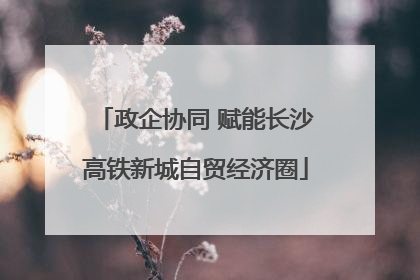 政企协同 赋能长沙高铁新城自贸经济圈