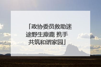 政协委员救助迷途野生麋鹿 携手共筑和谐家园