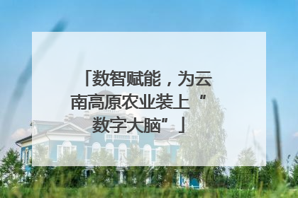数智赋能，为云南高原农业装上“数字大脑”