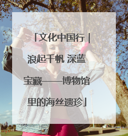 文化中国行｜浪起千帆 深蓝宝藏——博物馆里的海丝遗珍