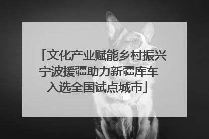 文化产业赋能乡村振兴 宁波援疆助力新疆库车入选全国试点城市