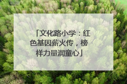 文化路小学：红色基因薪火传，榜样力量润童心