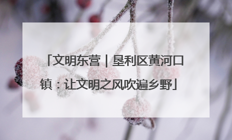 文明东营｜垦利区黄河口镇：让文明之风吹遍乡野