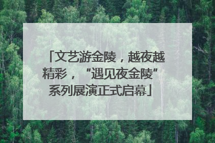 文艺游金陵，越夜越精彩，“遇见夜金陵”系列展演正式启幕
