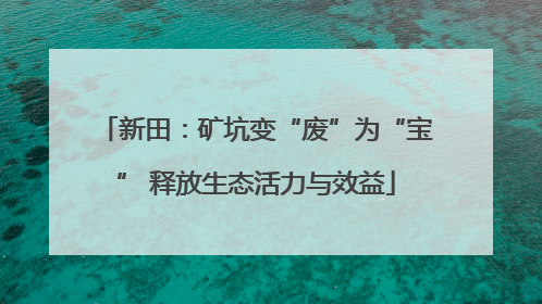 新田：矿坑变“废”为“宝” 释放生态活力与效益