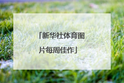 新华社体育图片每周佳作