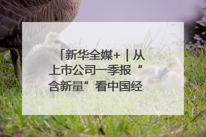 新华全媒+｜从上市公司一季报“含新量”看中国经济发展向“新”