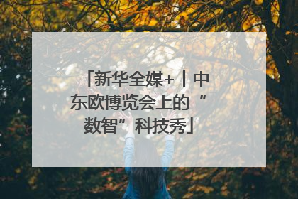新华全媒+丨中东欧博览会上的“数智”科技秀