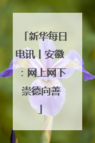 新华每日电讯丨安徽：网上网下 崇德向善